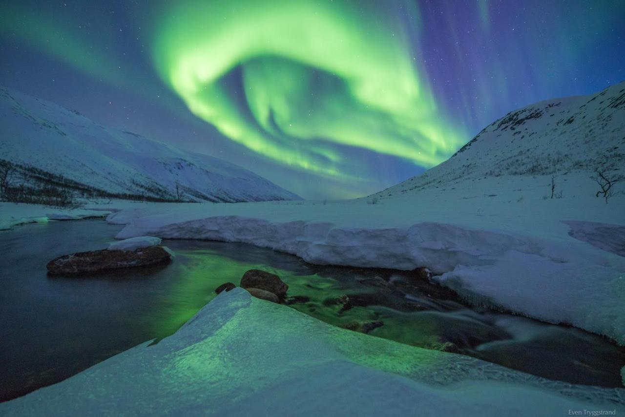 KarlsøyCamp Aurora别墅 外观 照片